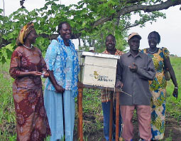 Margaret Ogaba and members of the Kitgum Lady Beekeepers group