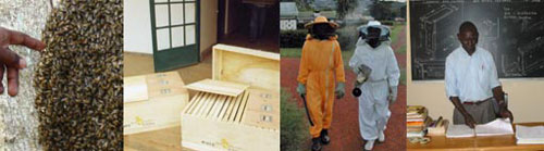 Images showing where your donations will go